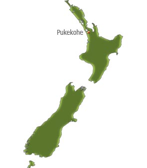 new zealand map